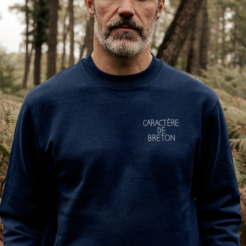 Sweat breton homme best sale