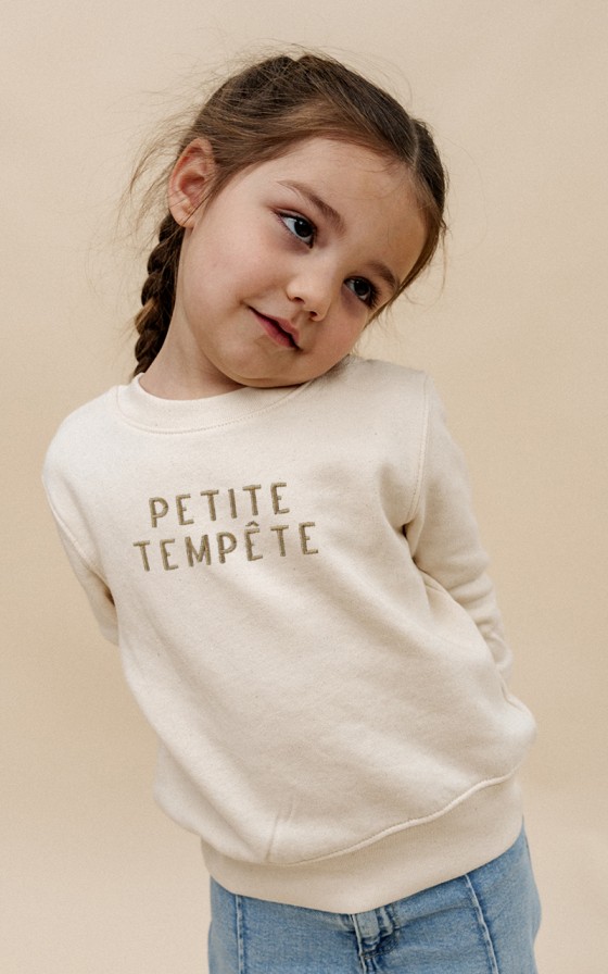 Sweat à Capuche Humour Bretagne - 'Mouette Qui Pète Avis De Tempête' - Cadeau Drôle Breton
