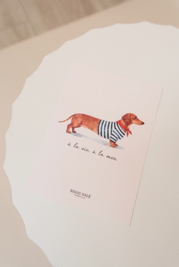 Carte postale Teckel marinière