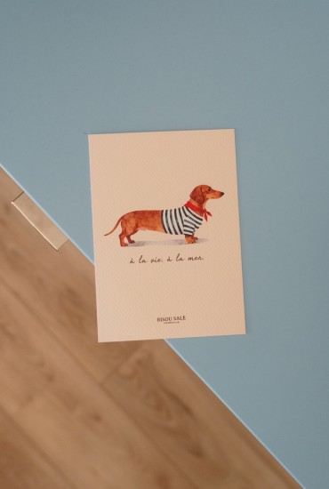 Carte postale Teckel marinière