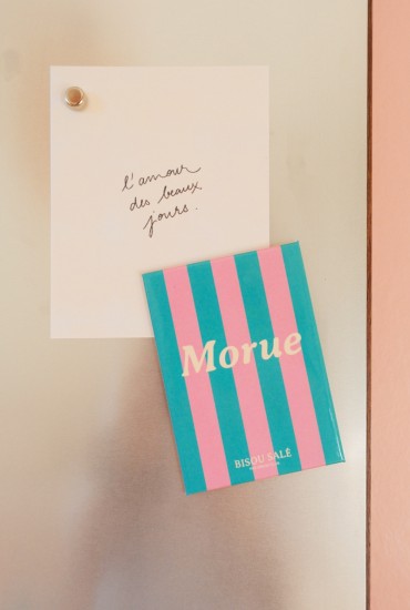Magnet rayé Morue