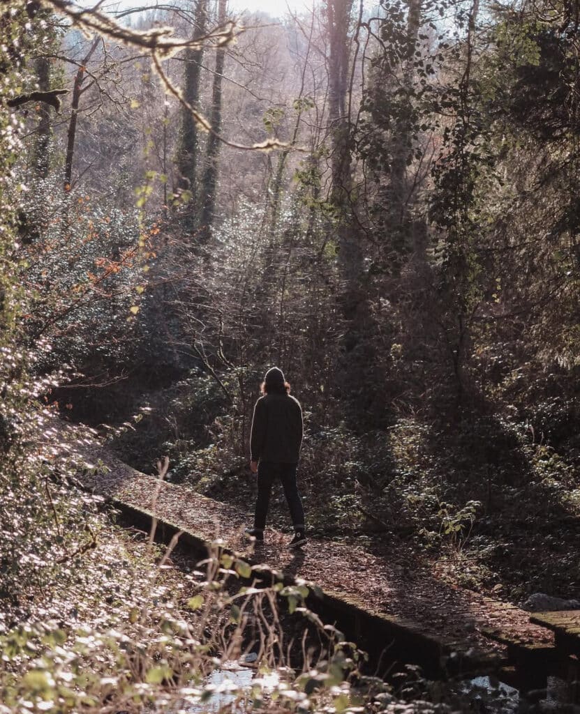 Randonnée romantique dans les forêts bretonnes pour la saint valentin 2025